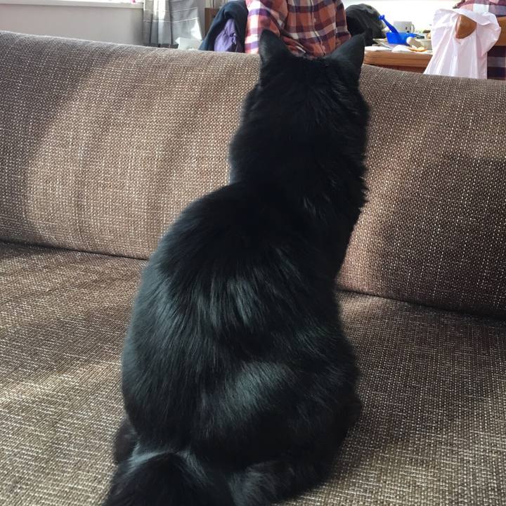 1b2f66e0 0b9c 4cce 9bb6 0a2f19800568