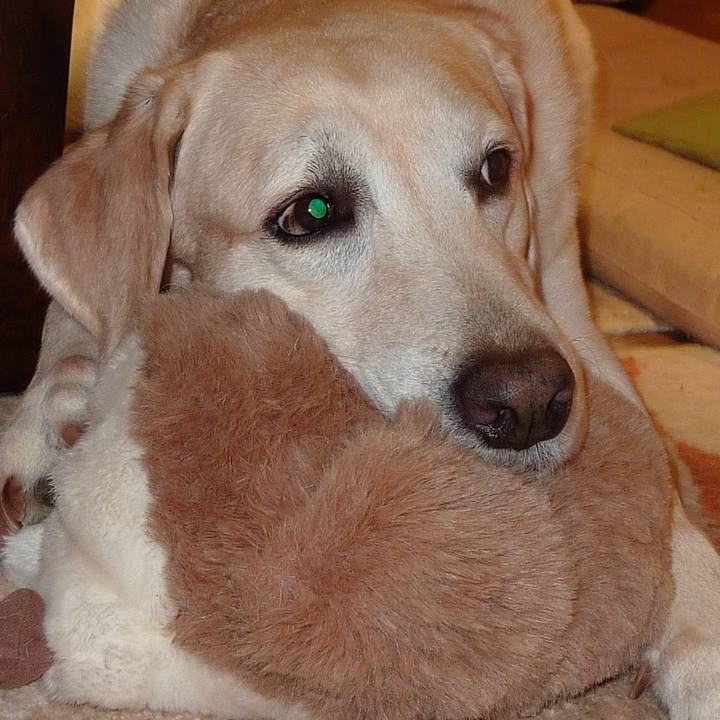 1b2fe1f5 ce52 4cd1 be76 121dab86b658