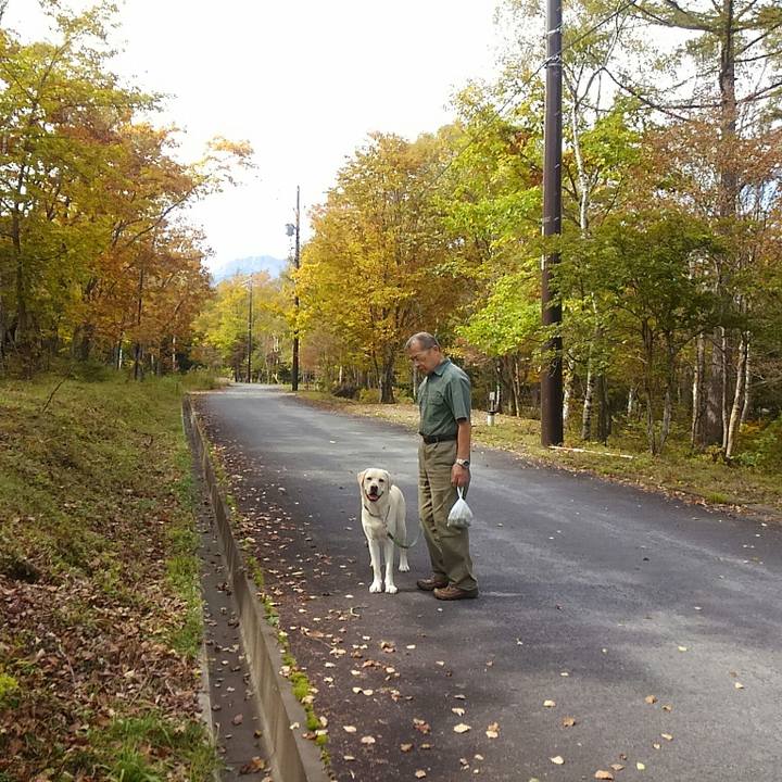 1b2fe399 175e 4a28 a511 28d58882a018