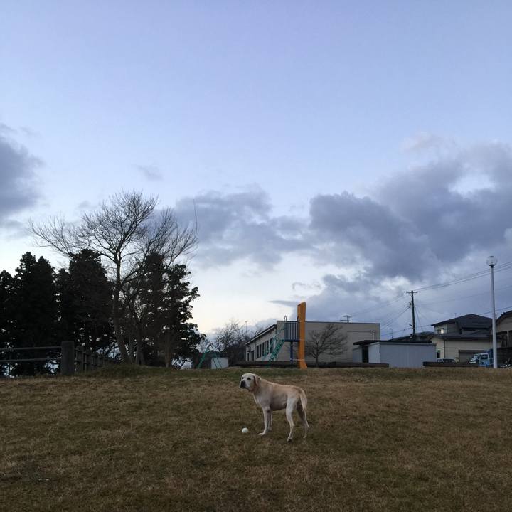 1b30cc6c a9ac 4bb3 9c11 a5de0eac08e1