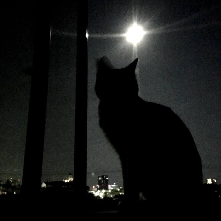 1b31da91 a117 47ce b2fe 098fad775310