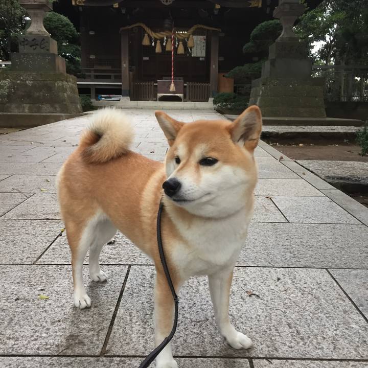 1b32778f 798d 4f9d 8a7b 181fd14551dc