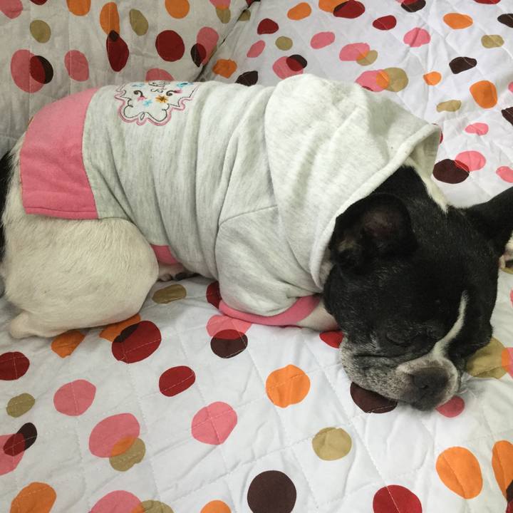 1b32b58c 3d67 4fed 92ed 0ce51277b441