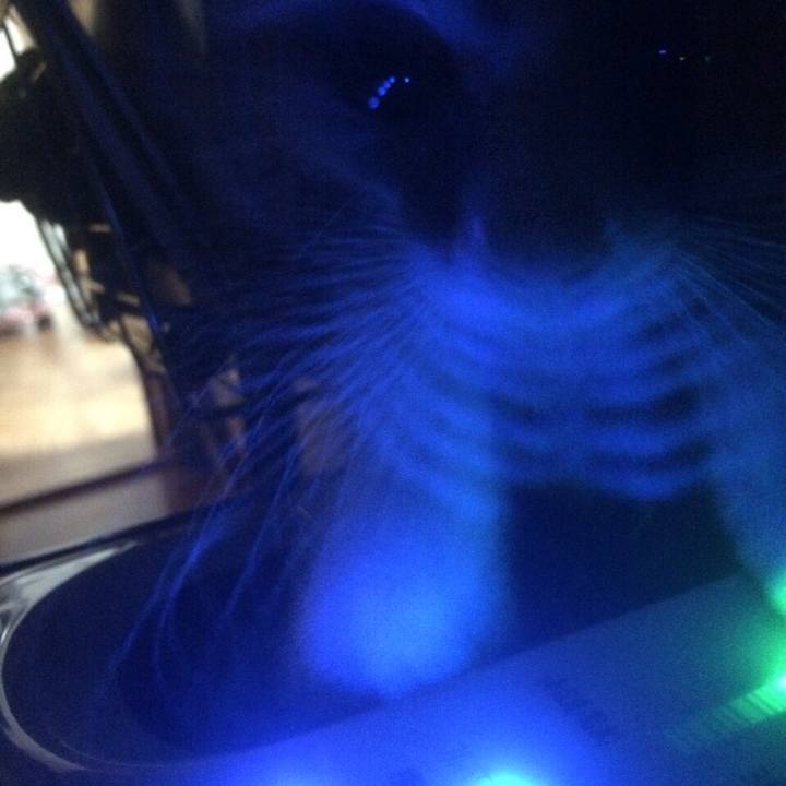 1b32ece5 ab37 415e ad41 a45396545cd2