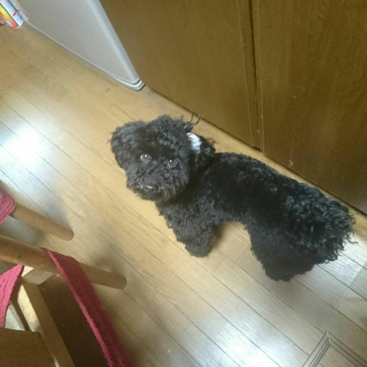 1b33193d 7823 41e5 9406 0e8124f29a51