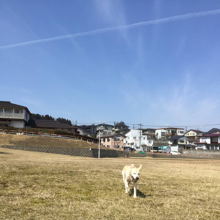 1b3348be 7e5e 4f16 a520 3ca4a03b5924