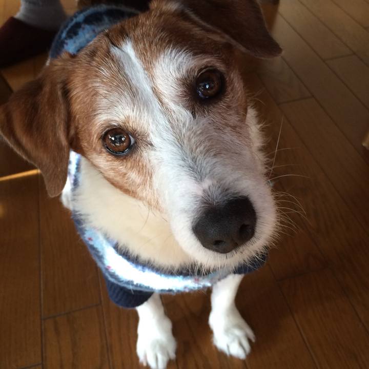 1b33da3c e4eb 4f4b bf66 9073be0fd4bf