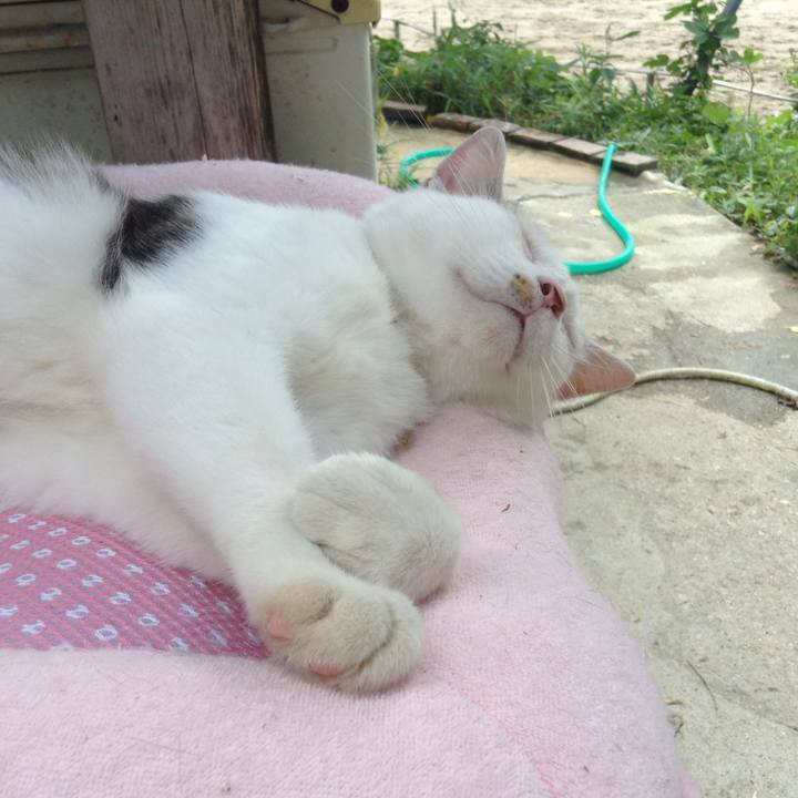 1b33ebdc 635f 4f0a 8b26 758d3e637dc4