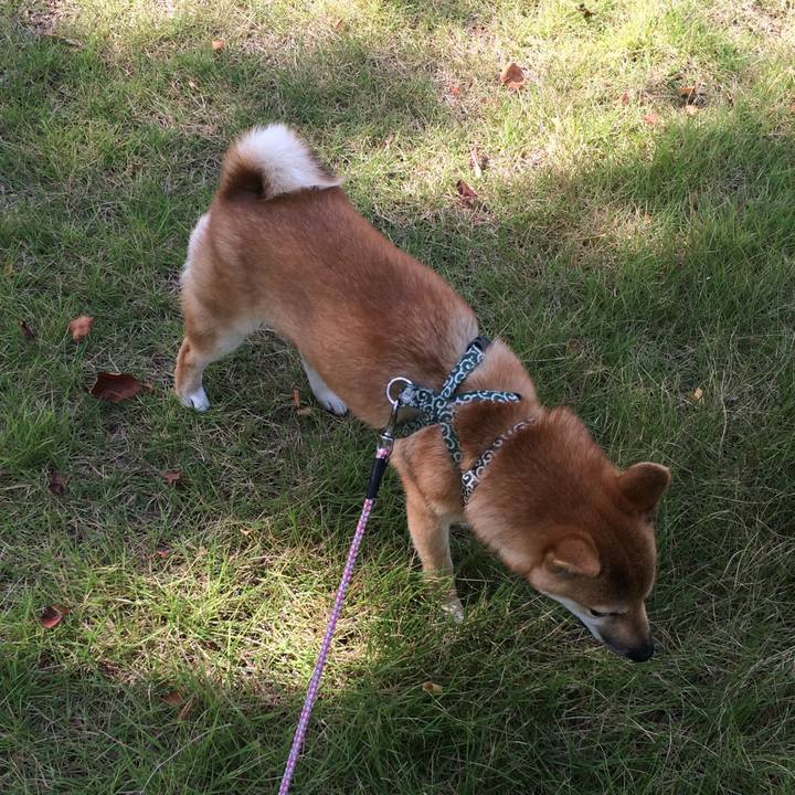 1b34a2bd f8b4 48f7 9596 0c7bb4c99581