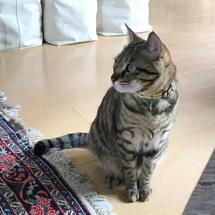 1b357172 2be7 4b21 94ca 556061e445f9