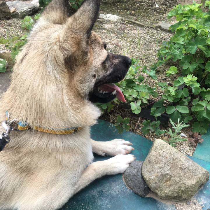 1b36a5d9 27cb 4031 a6f8 0854c7a073a7