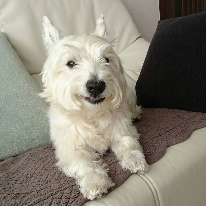 1b3712c7 d185 4358 b58c 295af03ec8ef