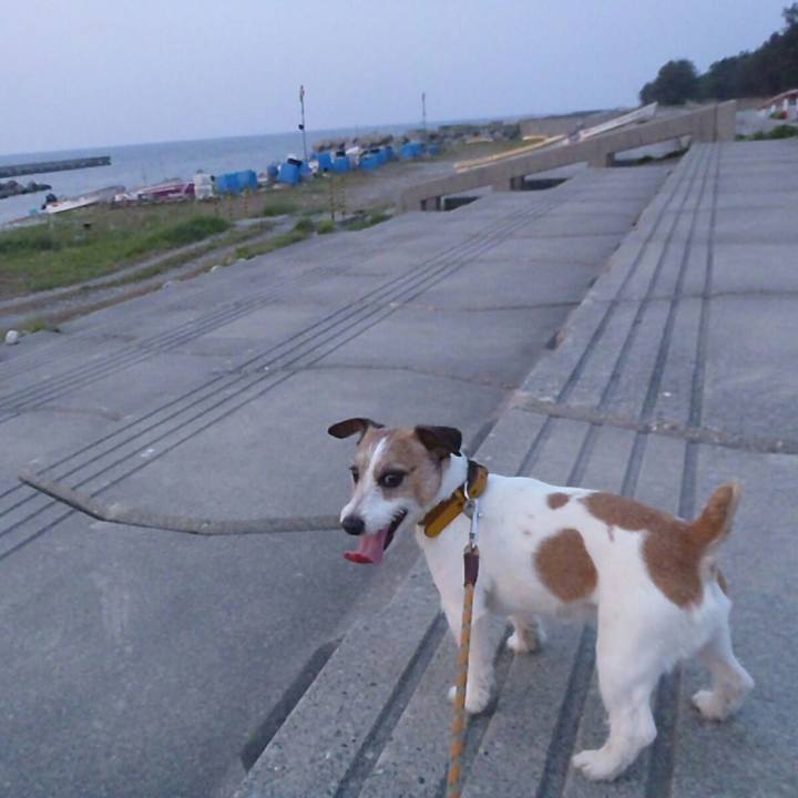 1b3784b9 a255 4eee a090 03d850b90564