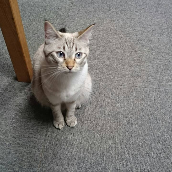 1b37d4d1 889e 4bb4 ab75 99b21e6768a8