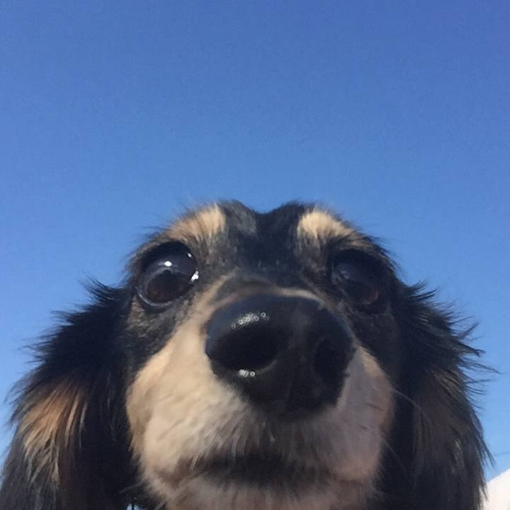 1b38175a 311d 4652 802a 5959ef74a793