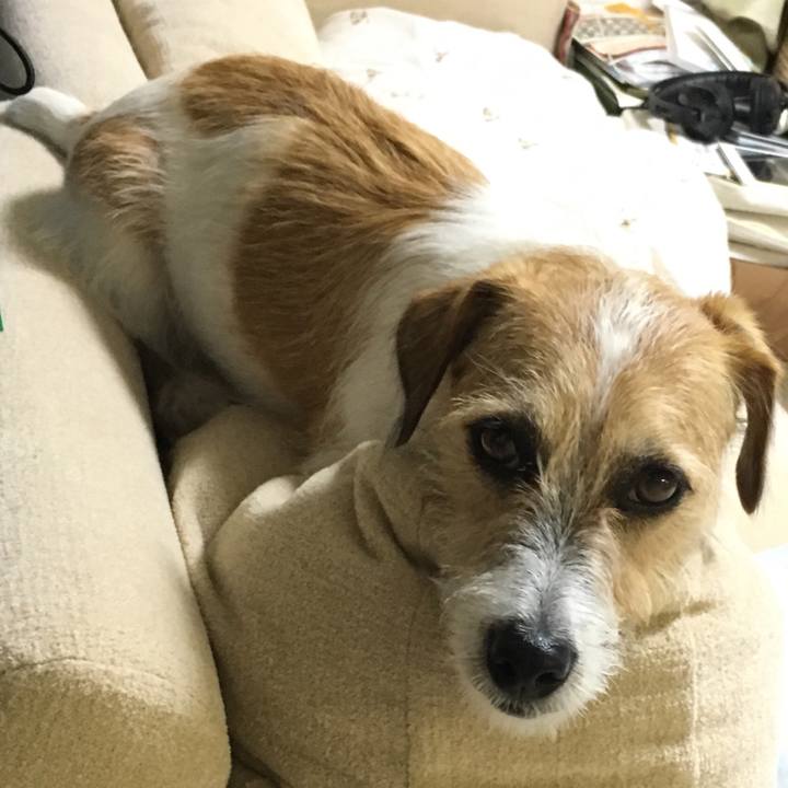 1b38444f b812 4011 889b dfd957c7c49e