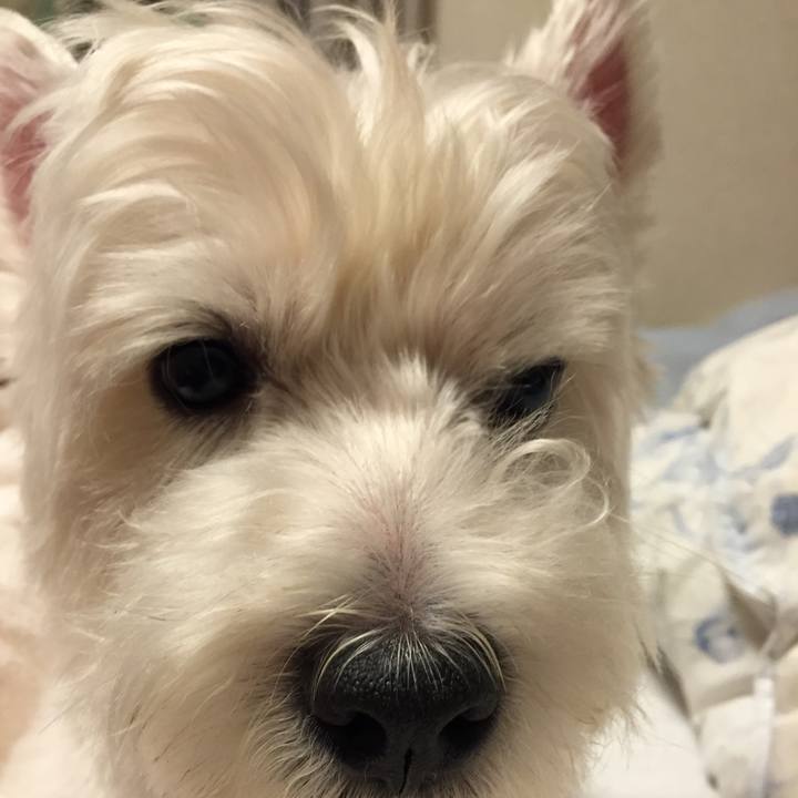 1b38d623 e7ab 4977 ba33 4b755dab88ed