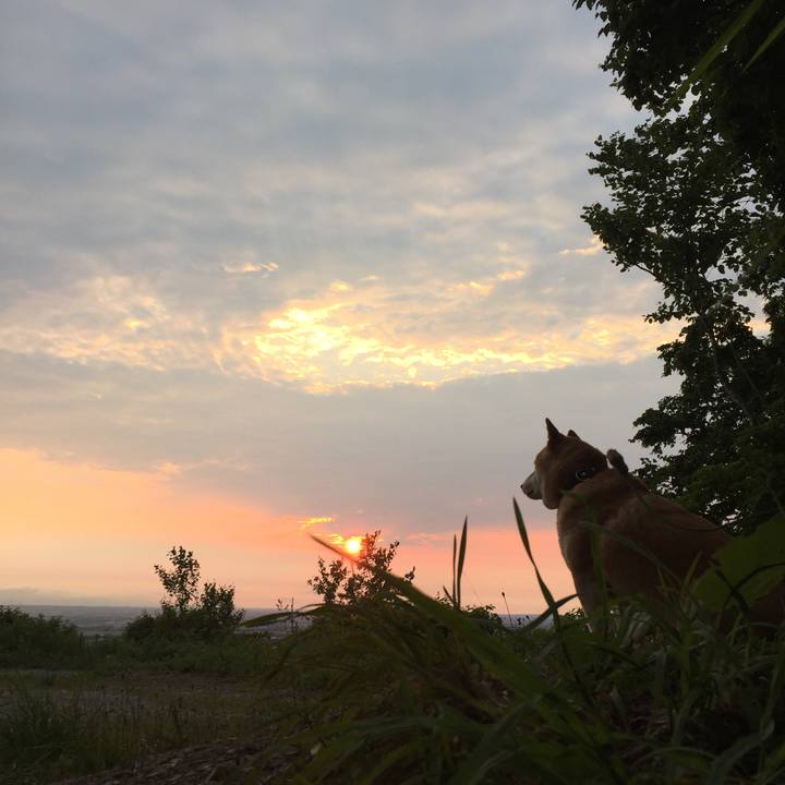 1b392c08 35ee 49b3 b088 688f431f946f