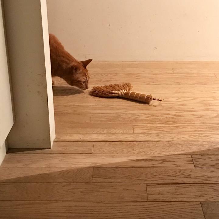 1b398d9a c0fd 431b 8fd7 184a495513df