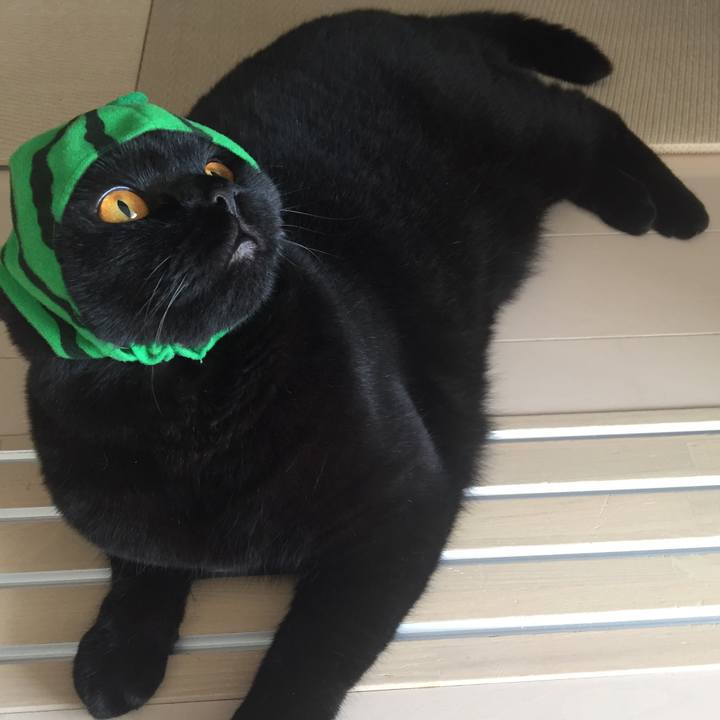 1b3a940f b6e6 4920 9a08 bfbd97a194ff