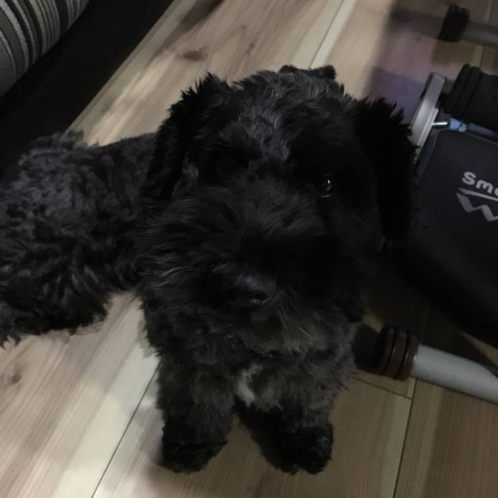 1b3b449e 46c0 4231 a058 2afae0e70792