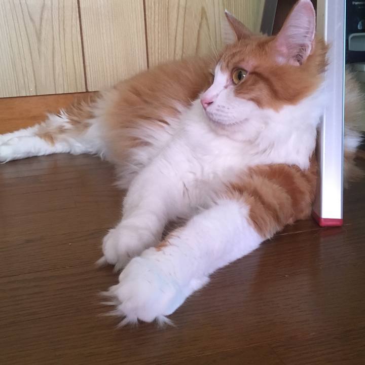 1b3b6d5a fefa 4660 afec 6b553fb9f16d