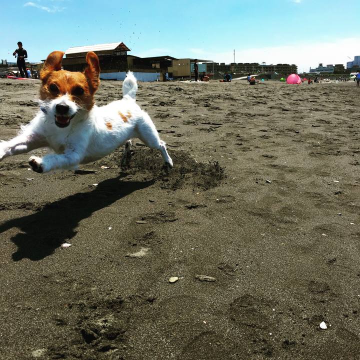 1b3b6f2c 6f1d 4933 83c7 ea95c8b8abcc