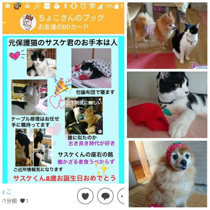 1b3c1045 8ee6 4528 a667 fc4ea3841644