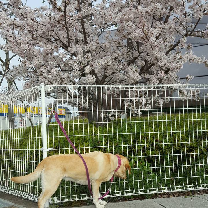 1b3c3e96 3c36 45d5 bc47 1ed0c7ec46c7