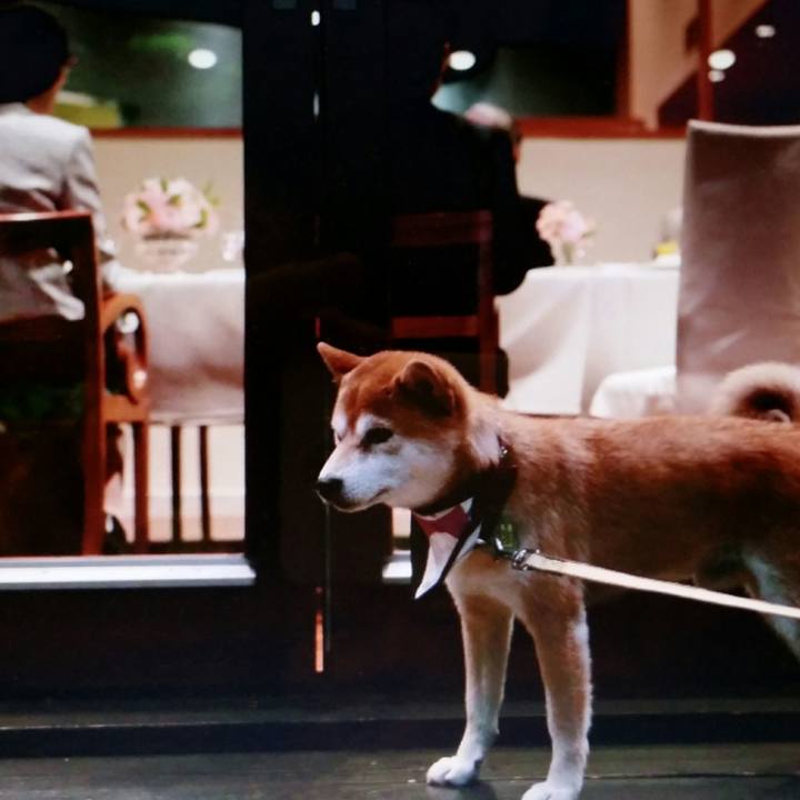 1b3c5a2a 96e3 4e57 96a2 5272da556707