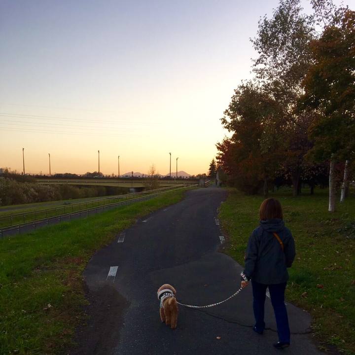 1b3c5a43 ea71 406c a1ce 982ba3dd80a7