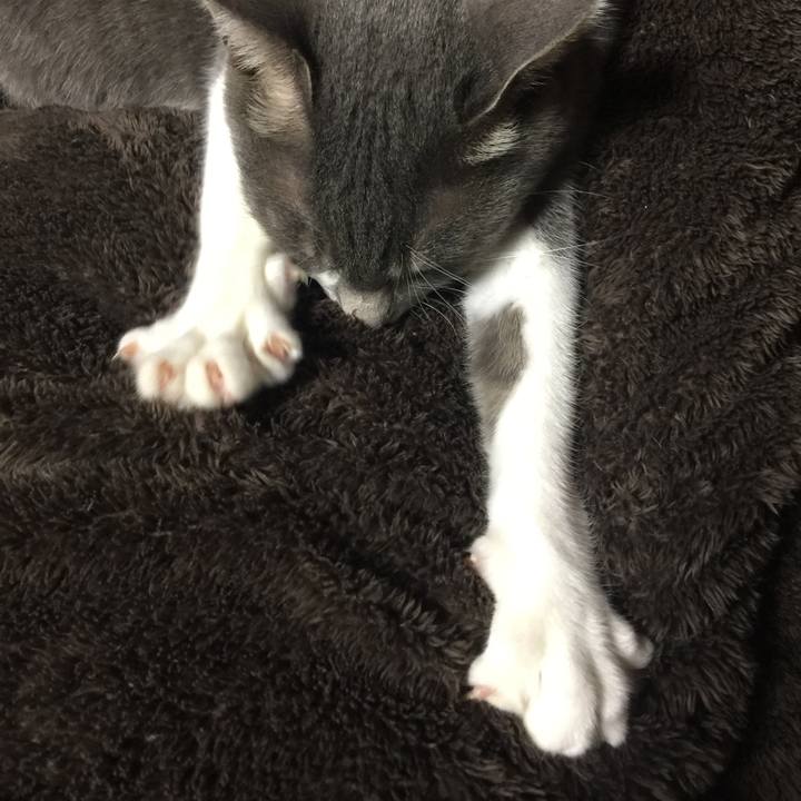 1b3c81bd 4298 4738 979e 38fa43103879