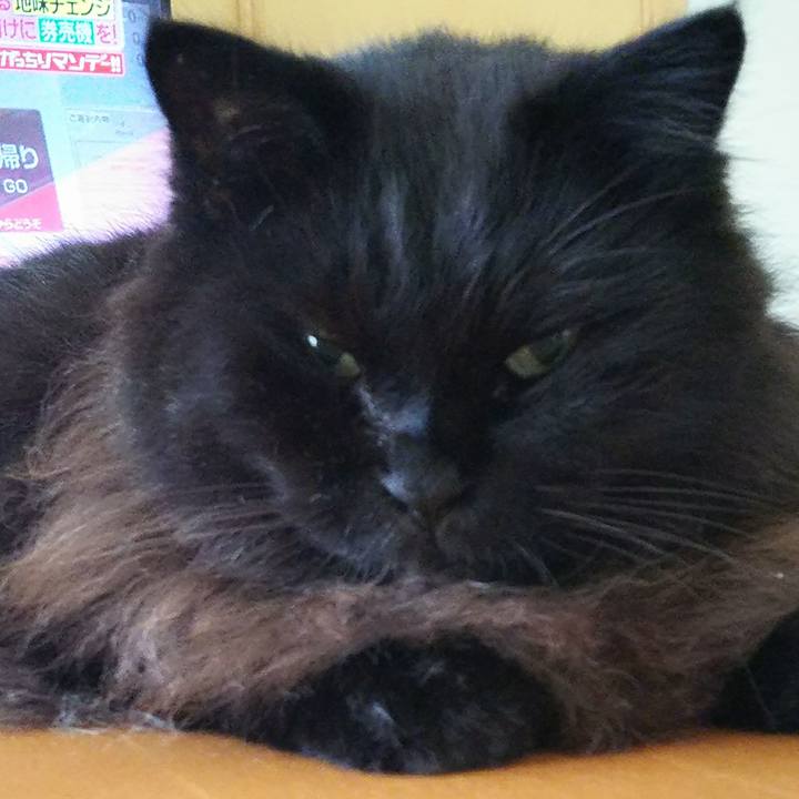 1b3cf1fb d600 4adc 82b3 65bcc9c71f29