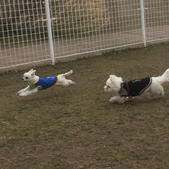 1b3d3998 58f6 4d9f 894e 5f751d7502f7