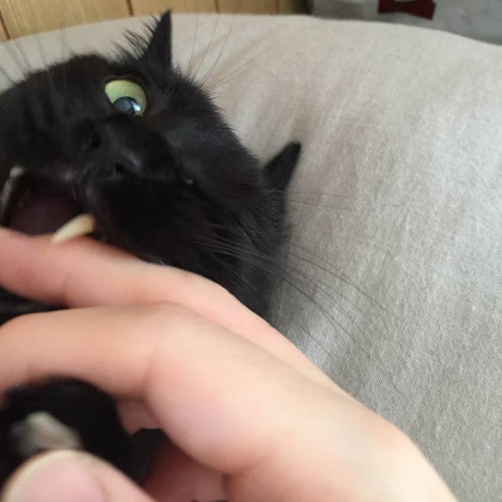 1b3d5174 4690 410b 89a9 ebc61774cdc2