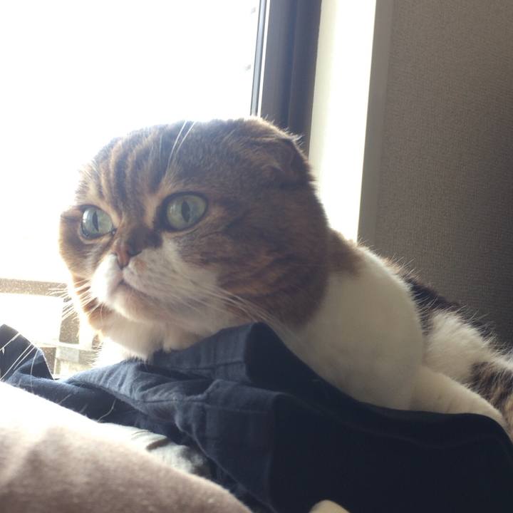 1b3d6a25 66f2 4269 a981 ee8a03a3f8a8