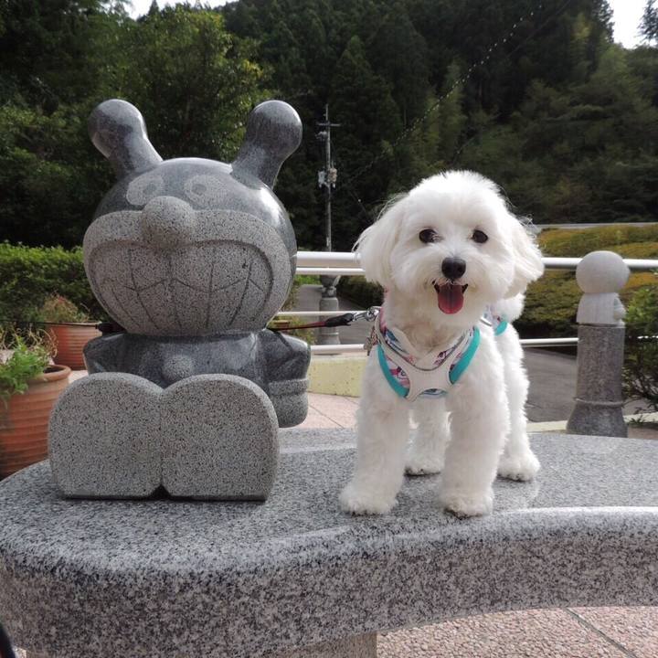 1b3db45d 329a 41f7 b0f1 13c6281dcdb7