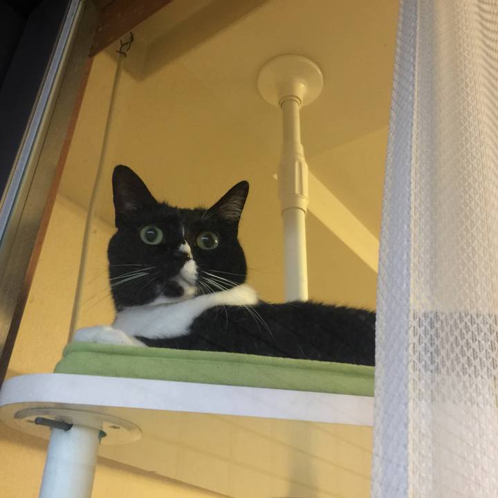 1b3e4a36 3d9d 42a3 b79e ce517e3fbb49