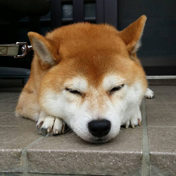 1b3e500c 585a 4ecc 854e 3666a7f17419