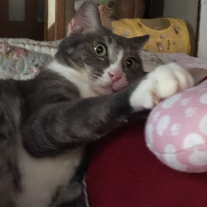 1b3e9d6b 582f 4c5a b6cb afca33b18635