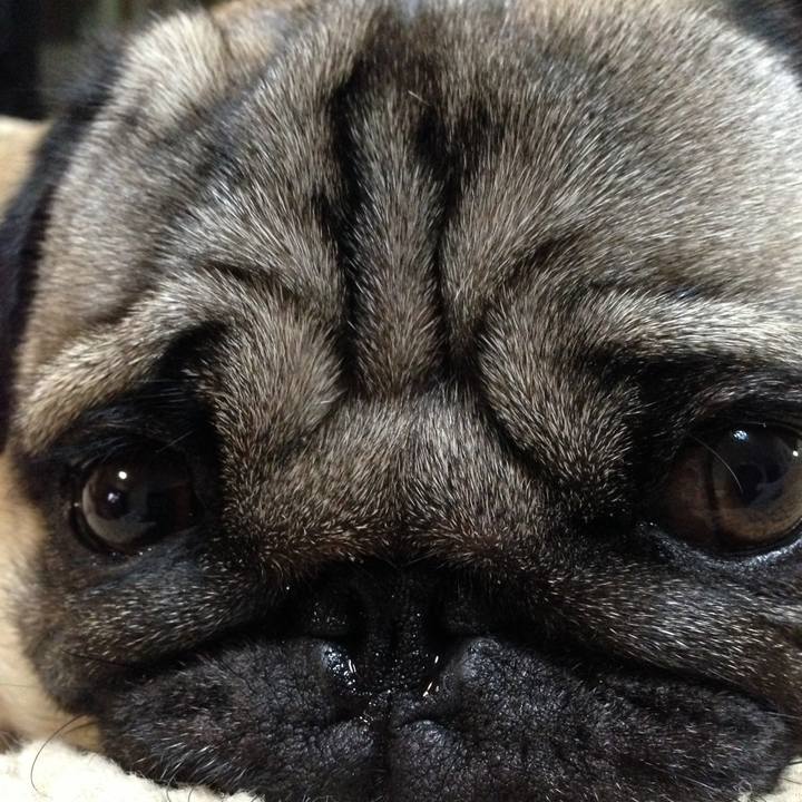 1b3ef5be 2061 459a b5c7 f2a549c254ed