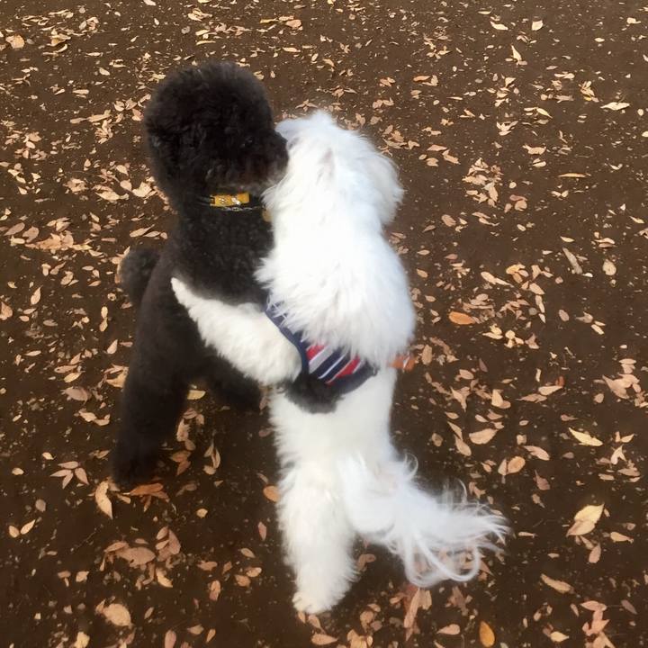 1b3fd6a9 298b 4700 8799 d3227a2252a7