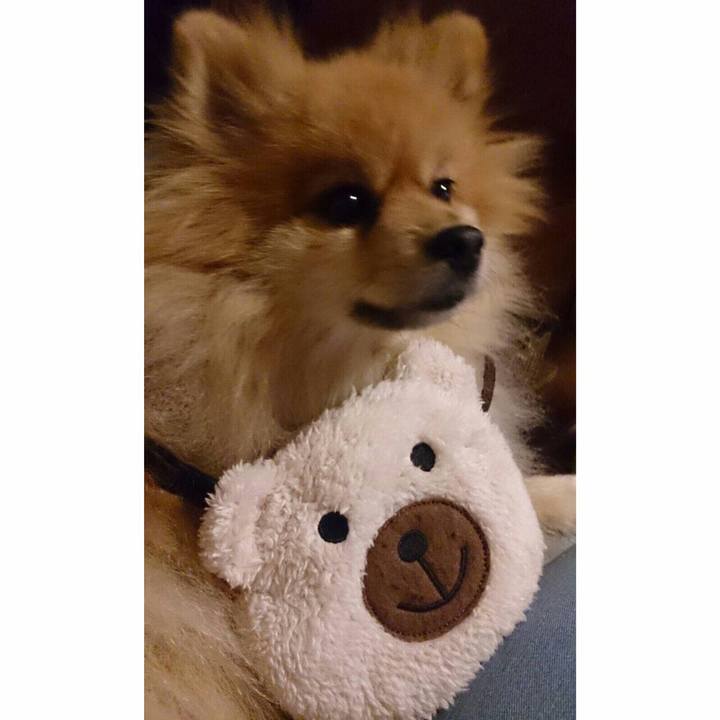 1b3fdc76 4acc 43c9 9341 142c63305c8a