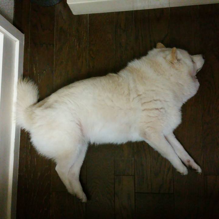 1b40ede0 76bf 47da 9ca8 fea69b04fe21