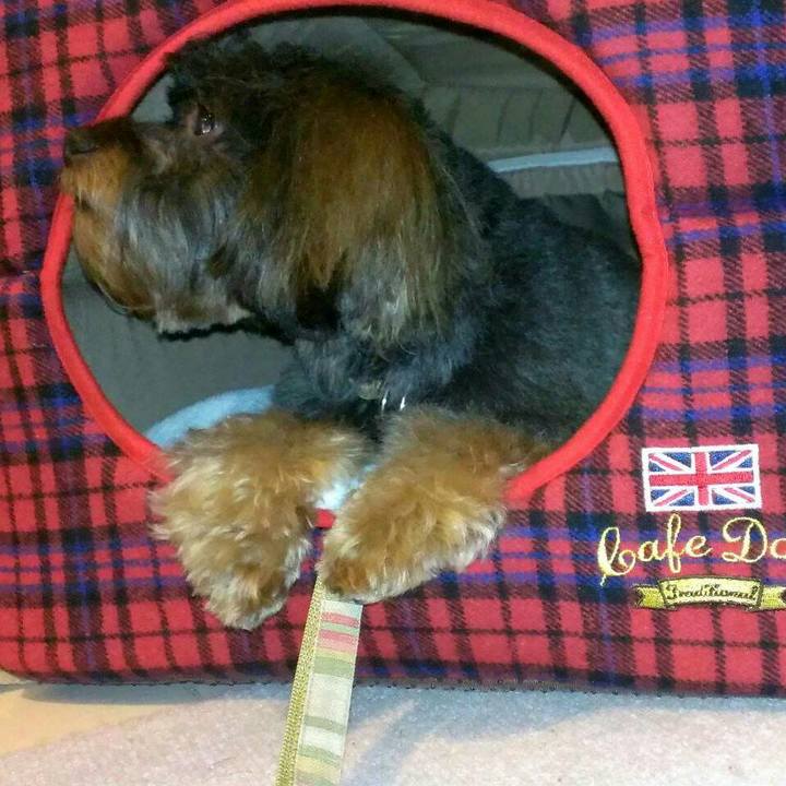 1b41484f b27c 4d1a ad22 bc80e088e76d