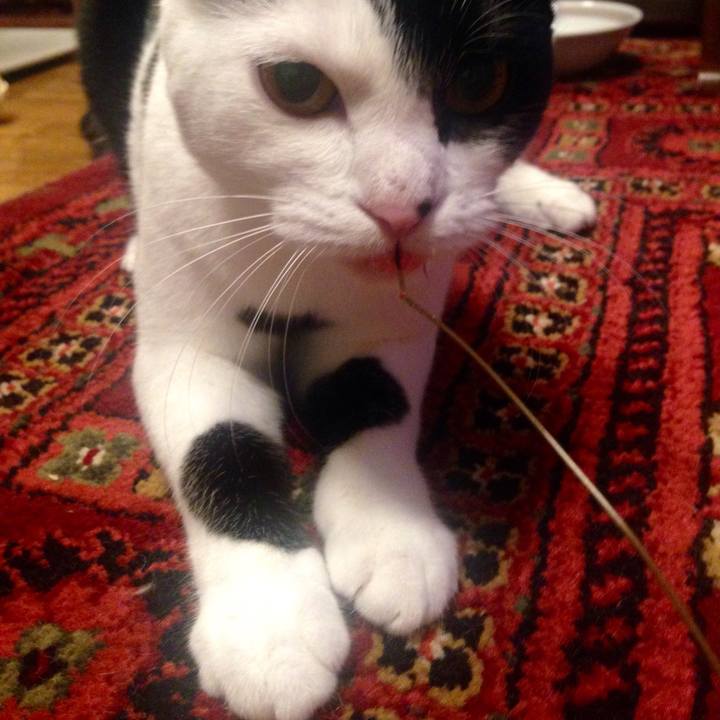 1b41c572 4e68 4865 8022 ab1c653f18f0