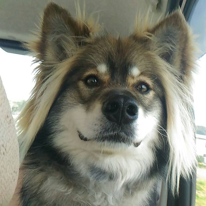 1b41d656 29d8 4b97 b397 e57fe2ba588c