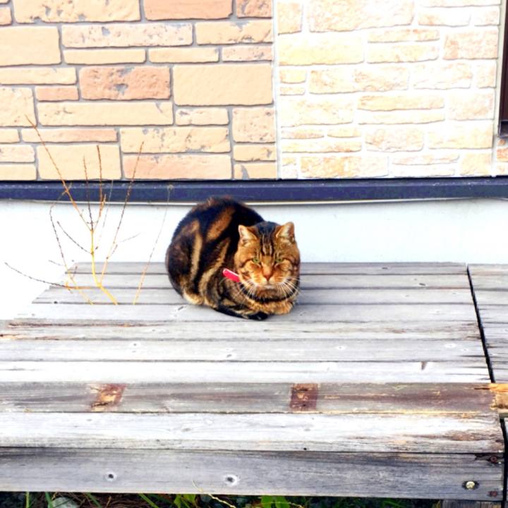 1b42c2a5 a3ff 4645 a59a 189704156779