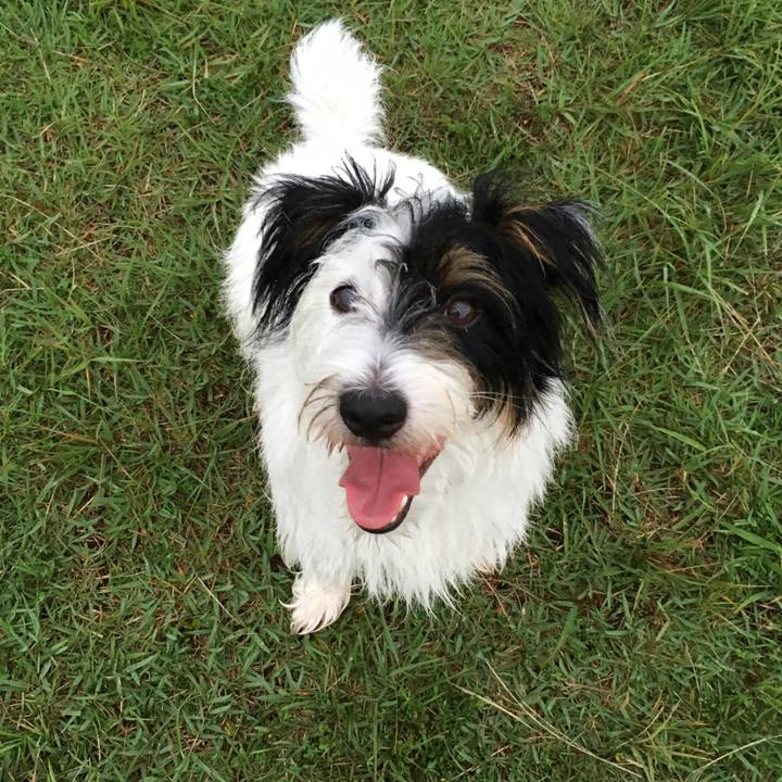 1b4339ea ee42 4338 8de1 d8671d150d66