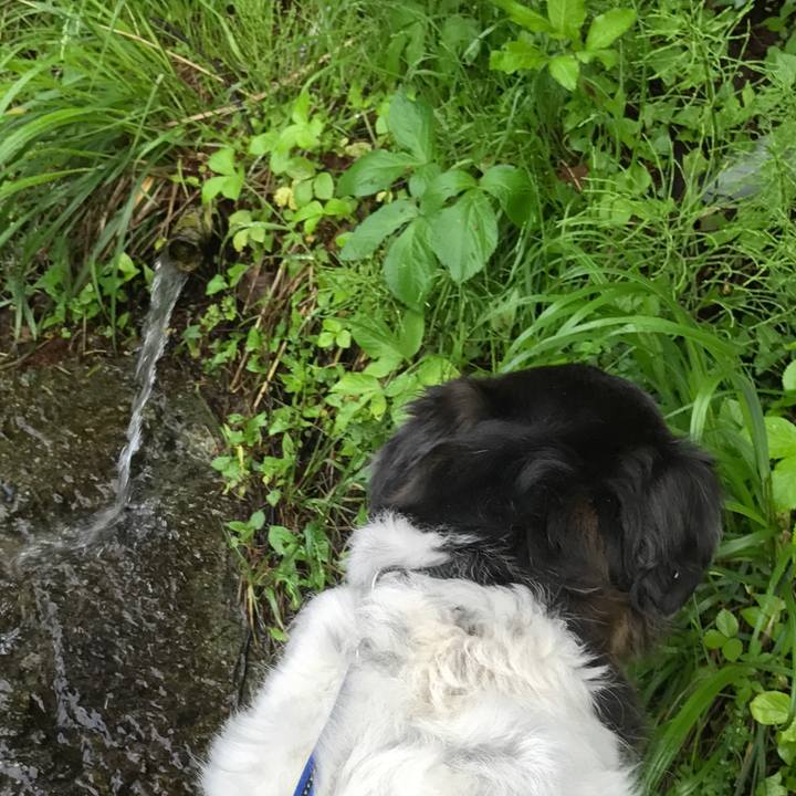 1b4396fb 9bf5 429e a683 32d2891fc8e1